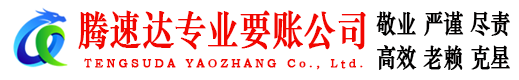 和平清债公司